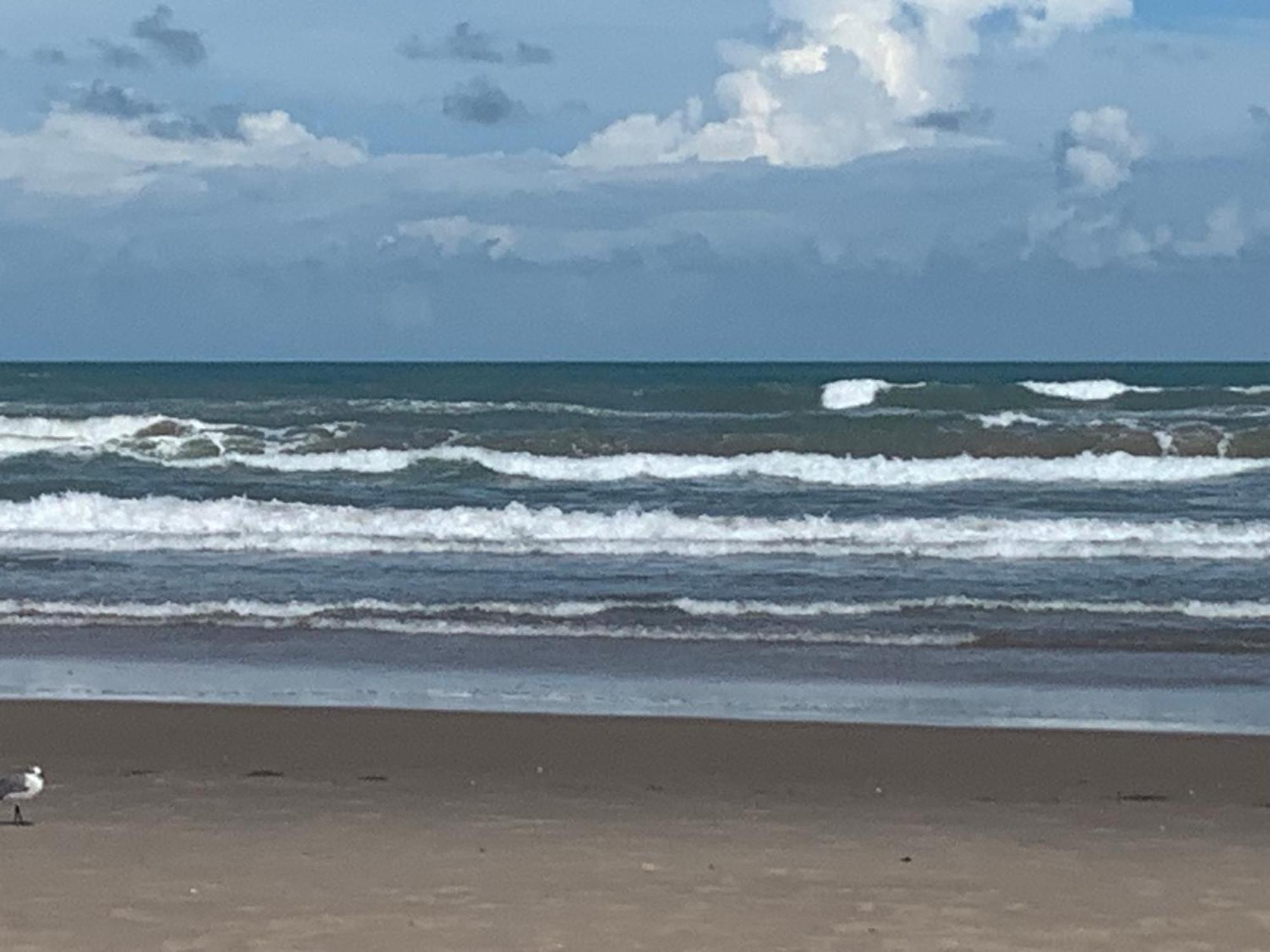 Jjs Beach Condo South Padre Island Dış mekan fotoğraf
